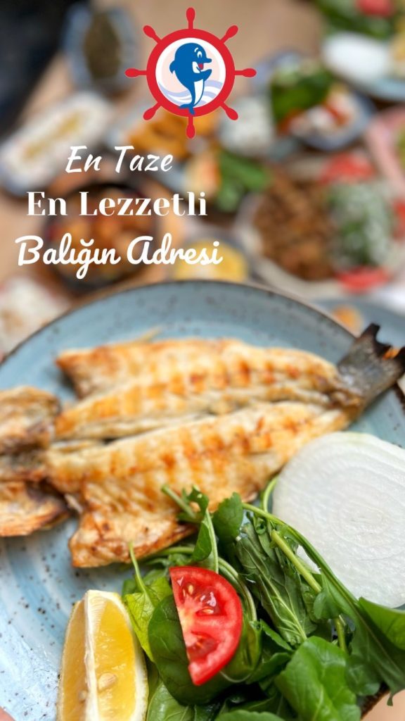 izgara-cipura-deniz-cipurasi-taze-pismis-balik-kaptanin-yeri-konutkent-ankara