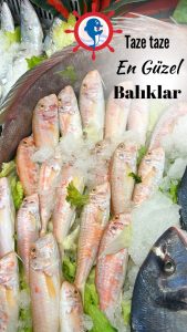 tekir-baligi-cig-pismis-balik-pisirme-akdeniz-mutfagi-ankara